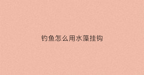 钓鱼怎么用水藻挂钩(钓鱼怎么用水藻挂钩好)