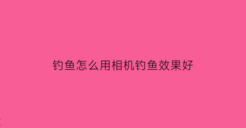 钓鱼怎么用相机钓鱼效果好(拍摄钓鱼用什么摄像机)