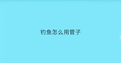 钓鱼怎么用管子(钓小管怎么钓)
