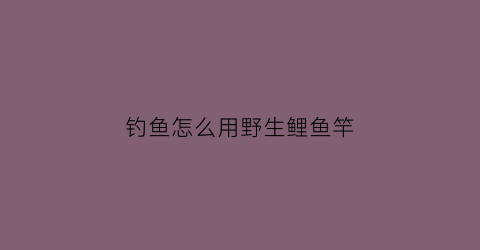 “钓鱼怎么用野生鲤鱼竿(垂钓野生鲤鱼应该如何使用饵料)