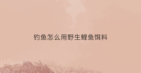 “钓鱼怎么用野生鲤鱼饵料(野生鲤鱼怎样钓)