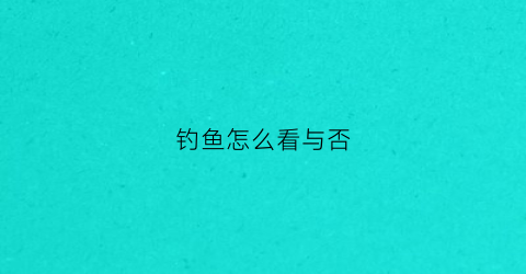 钓鱼怎么看与否(钓鱼怎么看上鱼)