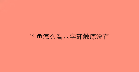 “钓鱼怎么看八字环触底没有(野钓八字环触底)