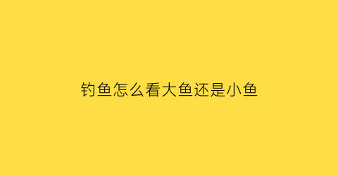 钓鱼怎么看大鱼还是小鱼(钓鱼怎么看上鱼)