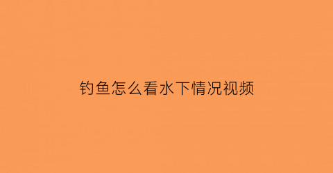 钓鱼怎么看水下情况视频