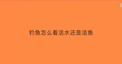 “钓鱼怎么看活水还是活鱼(钓鱼时怎么知道水有多深)