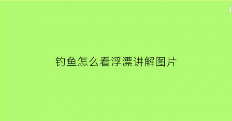 “钓鱼怎么看浮漂讲解图片(钓鱼时怎么看浮漂)