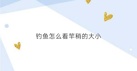 钓鱼怎么看竿稍的大小(怎么才能知道竿稍的直径)