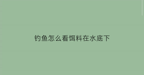 钓鱼怎么看饵料在水底下(钓鱼怎么看饵料在水底下还是上面)