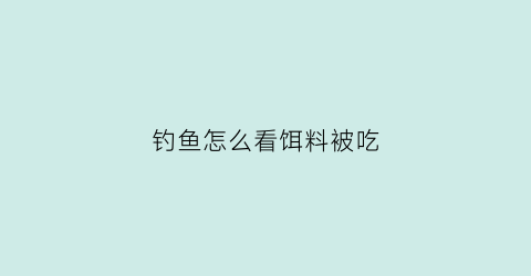 “钓鱼怎么看饵料被吃(怎么知道鱼饵在鱼钩上吗)