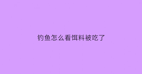 “钓鱼怎么看饵料被吃了(钓鱼怎么看饵料被吃了呢)