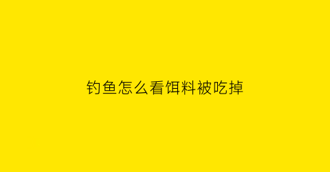 “钓鱼怎么看饵料被吃掉(钓鱼鱼吃饵怎么看上钩)