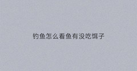 钓鱼怎么看鱼有没吃饵子(怎么知道鱼饵没了)
