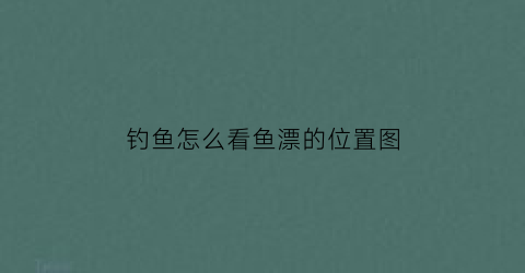 钓鱼怎么看鱼漂的位置图(钓鱼时如何看漂)