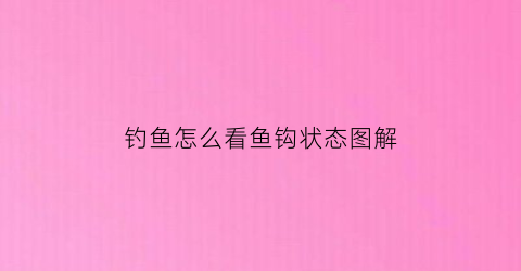 钓鱼怎么看鱼钩状态图解(钓鱼怎么知道鱼钩到底了)