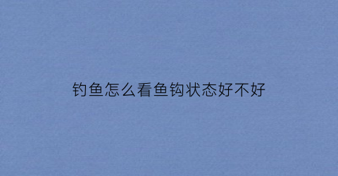 钓鱼怎么看鱼钩状态好不好(钓鱼怎么看鱼钩状态好不好用)
