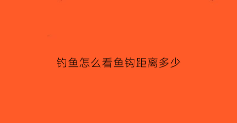钓鱼怎么看鱼钩距离多少(怎么看鱼钩的大小)