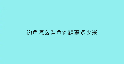 钓鱼怎么看鱼钩距离多少米(钓鱼怎样确定钩到底)