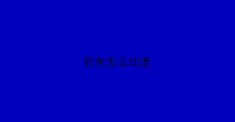 钓鱼怎么知道