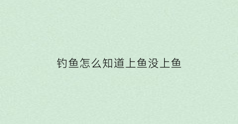 钓鱼怎么知道上鱼没上鱼(怎么看鱼是不是上钓了)
