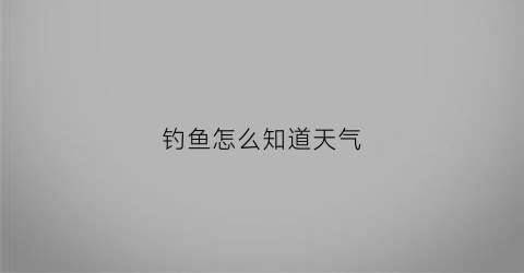 钓鱼怎么知道天气(钓鱼怎么看天气气压多少为准)