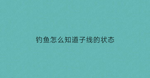 “钓鱼怎么知道子线的状态(怎么看子线的好坏)