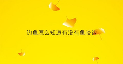 钓鱼怎么知道有没有鱼咬钩(怎么能看出来鱼咬钩)