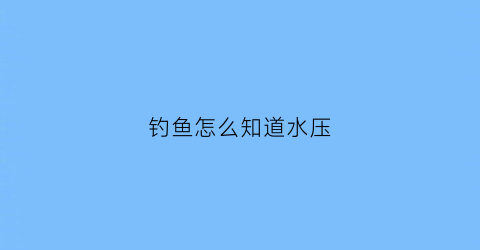 钓鱼怎么知道水压(钓鱼怎么知道水压大小)