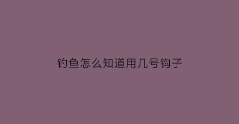 “钓鱼怎么知道用几号钩子(钓鱼时怎么知道用几号的勾)