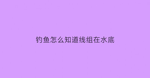 钓鱼怎么知道线组在水底(钓鱼怎么知道用几号线)