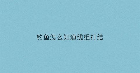 钓鱼怎么知道线组打结(钓鱼的线怎么分)