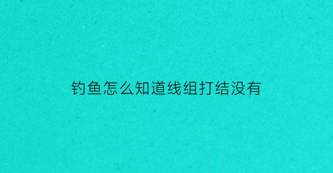 “钓鱼怎么知道线组打结没有(钓鱼线组打结方法)