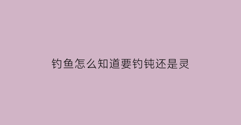 钓鱼怎么知道要钓钝还是灵(钓鱼怎么知道灵顿)