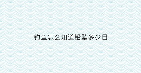 钓鱼怎么知道铅坠多少目(怎么知道铅坠到底了)