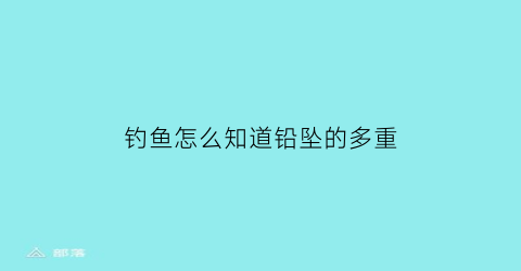 钓鱼怎么知道铅坠的多重(钓鱼怎么确定铅的重量)