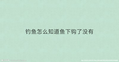 “钓鱼怎么知道鱼下钩了没有(钓鱼怎么知道鱼钩到底了)