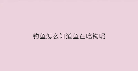 “钓鱼怎么知道鱼在吃钩呢(如何知道鱼吃没吃钓)