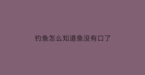 钓鱼怎么知道鱼没有口了(钓鱼怎么知道有没有鱼上钩)