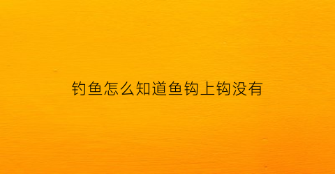 钓鱼怎么知道鱼钩上钩没有(怎样看鱼上钩没有)