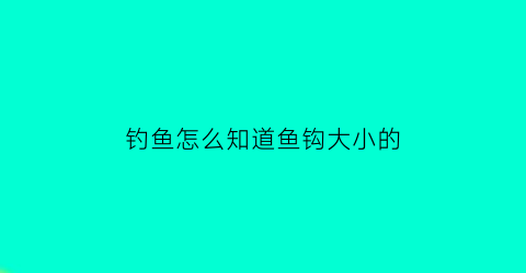 钓鱼怎么知道鱼钩大小的