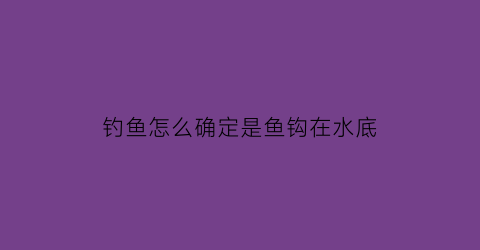 钓鱼怎么确定是鱼钩在水底(钓鱼怎么知道鱼钩沉底)