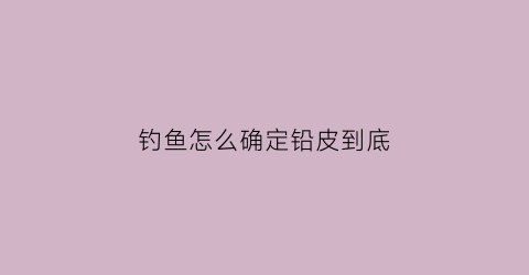 钓鱼怎么确定铅皮到底(钓鱼怎么看铅皮轻重)