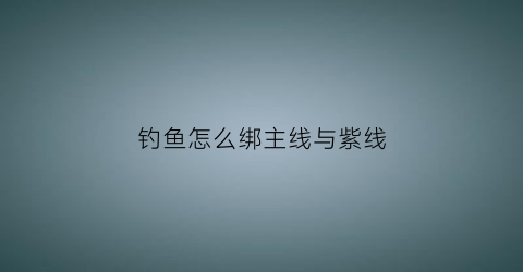 “钓鱼怎么绑主线与紫线(钓鱼的主线怎么绑结实)