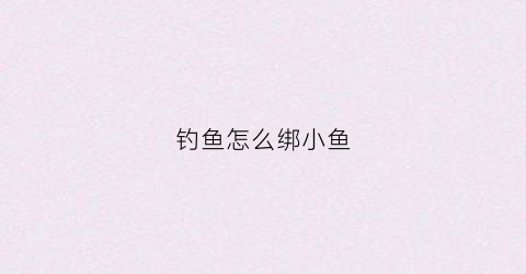 钓鱼怎么绑小鱼(钓鱼怎么绑小鱼视频)