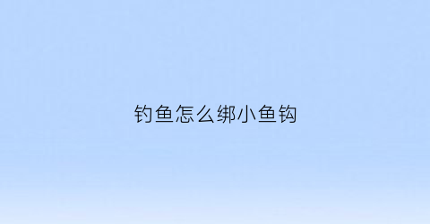 钓鱼怎么绑小鱼钩(钓鱼怎么绑小鱼钩视频)