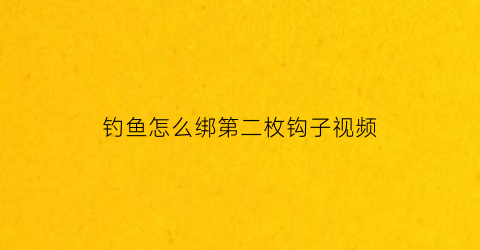 钓鱼怎么绑第二枚钩子视频(钓鱼怎么绑第二枚钩子视频教学)