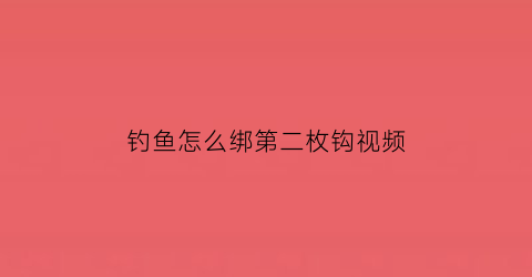 “钓鱼怎么绑第二枚钩视频(钓鱼怎么绑第二枚钩视频教程)