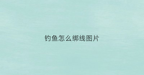 钓鱼怎么绑线图片(钓鱼怎么绑线图片视频)