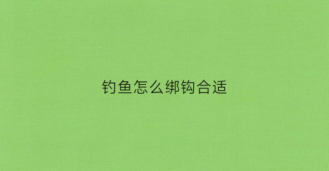 钓鱼怎么绑钩合适(钓鱼怎么绑钩合适视频)