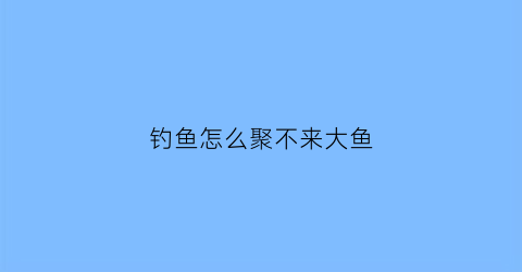 钓鱼怎么聚不来大鱼(钓不到大鱼为什么)